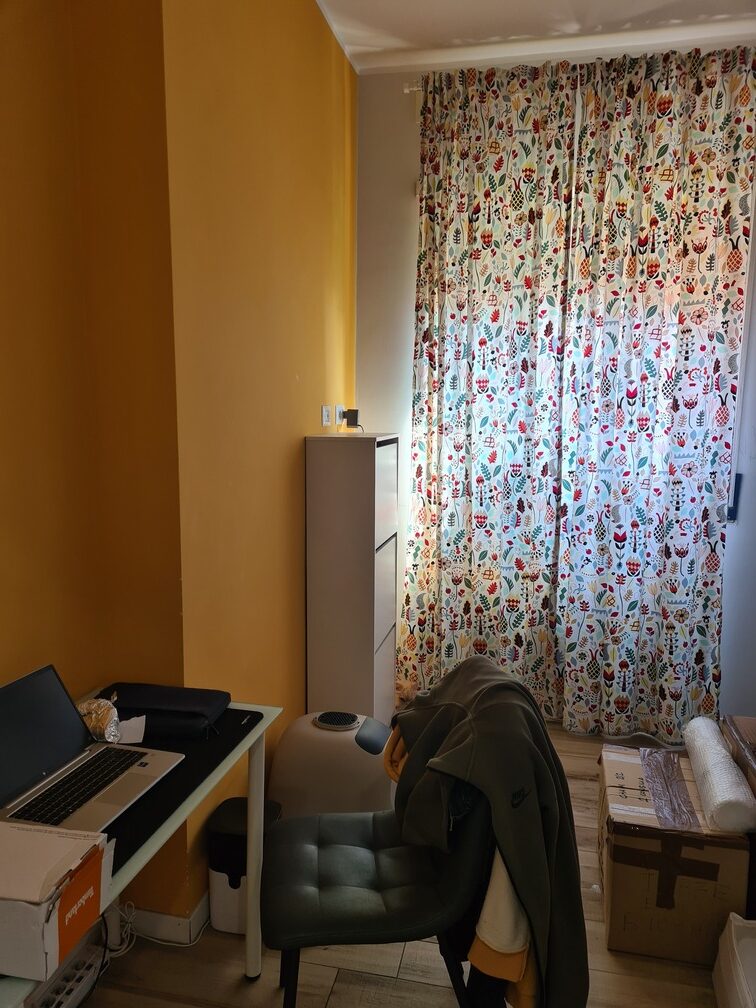 ante operam fallica (15)